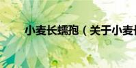 小麥長蠕孢(關于小麥長蠕孢簡介)