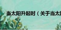 當太陽升起時(關于當太陽升起時介紹)