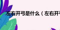 左右開弓是什么(左右開弓是什么生肖)