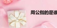 周公指的是誰?