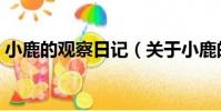 小鹿的觀察日記(關于小鹿的觀察日記簡介)