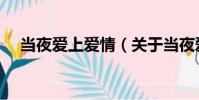 當夜愛上愛情(關于當夜愛上愛情介紹)