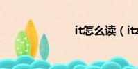it怎么讀(itz)