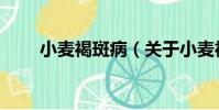 小麥褐斑病(關于小麥褐斑病簡介)