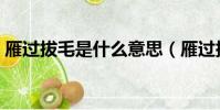 雁過拔毛是什么意思(雁過拔毛是什么生肖)