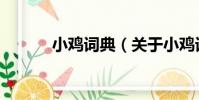 小雞詞典(關于小雞詞典簡介)