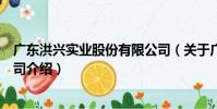 廣東洪興實業股份有限公司(關于廣東洪興實業股份有限公司介紹)