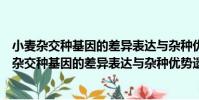 小麥雜交種基因的差異表達與雜種優勢遺傳機理(關于小麥雜交種基因的差異表達與雜種優勢遺傳機理簡介)