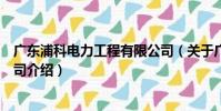 廣東浦科電力工程有限公司(關于廣東浦科電力工程有限公司介紹)