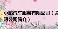 小鵬汽車服務有限公司(關于小鵬汽車服務有限公司簡介)