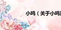 小鳴(關于小鳴簡介)