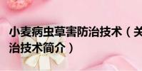 小麥病蟲草害防治技術(關于小麥病蟲草害防治技術簡介)