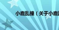 小鹿亂撞(關于小鹿亂撞簡介)