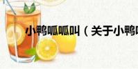 小鴨呱呱叫(關于小鴨呱呱叫簡介)