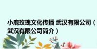 小鹿玫瑰文化傳播 武漢有限公司(關于小鹿玫瑰文化傳播 武漢有限公司簡介)
