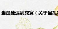 當孤獨遇到寂寞(關于當孤獨遇到寂寞介紹)