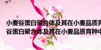 小麥谷蛋白聚合體及其在小麥品質育種中的應用(關于小麥谷蛋白聚合體及其在小麥品質育種中的應用簡介)