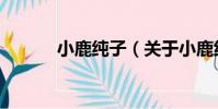 小鹿純子(關于小鹿純子簡介)