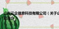 山東云企信息科技有限公司(關于山東云企信息科技有限公司簡介)