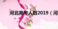 河北高考人數2019(河北高考人數)