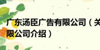 廣東湯臣廣告有限公司(關于廣東湯臣廣告有限公司介紹)