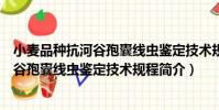 小麥品種抗河谷孢囊線蟲鑒定技術規程(關于小麥品種抗河谷孢囊線蟲鑒定技術規程簡介)