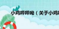 小雞嗶嗶呦(關于小雞嗶嗶呦簡介)