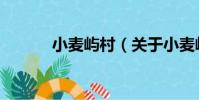 小麥嶼村(關于小麥嶼村簡介)
