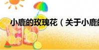 小鹿的玫瑰花(關于小鹿的玫瑰花簡介)