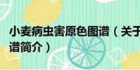 小麥病蟲害原色圖譜(關于小麥病蟲害原色圖譜簡介)