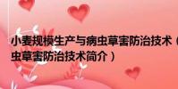 小麥規模生產與病蟲草害防治技術(關于小麥規模生產與病蟲草害防治技術簡介)