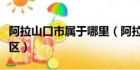 阿拉山口市屬于哪里(阿拉山口市屬于哪個地區)