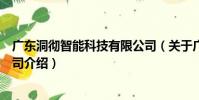廣東洞徹智能科技有限公司(關于廣東洞徹智能科技有限公司介紹)