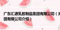 廣東匯通乳膠制品集團有限公司(關于廣東匯通乳膠制品集團有限公司介紹)