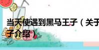 當天使遇到黑馬王子(關于當天使遇到黑馬王子介紹)