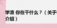 學渣 你在干什么?(關于學渣 你在干什么?介紹)