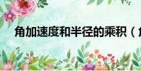 角加速度和半徑的乘積(角加速度單位)
