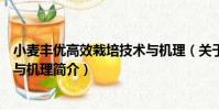 小麥豐優高效栽培技術與機理(關于小麥豐優高效栽培技術與機理簡介)