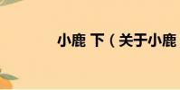 小鹿 下(關于小鹿 下簡介)