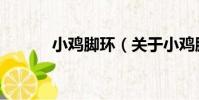 小雞腳環(關于小雞腳環簡介)