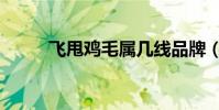 飛甩雞毛屬幾線品牌(飛甩雞毛)