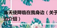 當天使降臨在我身邊(關于當天使降臨在我身邊介紹)