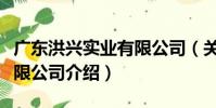 廣東洪興實業有限公司(關于廣東洪興實業有限公司介紹)