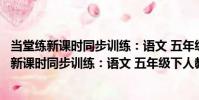 當堂練新課時同步訓練:語文 五年級下人教版(關于當堂練新課時同步訓練:語文 五年級下人教版介紹)