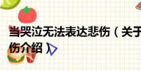 當哭泣無法表達悲傷(關于當哭泣無法表達悲傷介紹)
