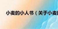 小麥的小人書(關于小麥的小人書簡介)