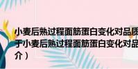 小麥后熟過程面筋蛋白變化對品質影響及控制機理研究(關于小麥后熟過程面筋蛋白變化對品質影響及控制機理研究簡介)