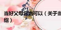當好父母您也可以(關于當好父母您也可以介紹)