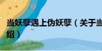 當妖孽遇上偽妖孽(關于當妖孽遇上偽妖孽介紹)