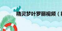 精靈夢葉羅麗視頻(精靈私服)